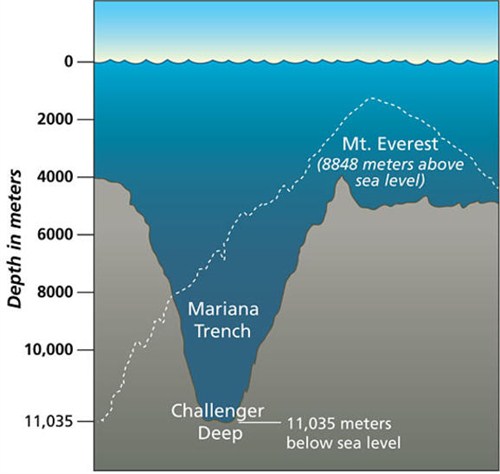 GDP生物_年度经济任务(2)