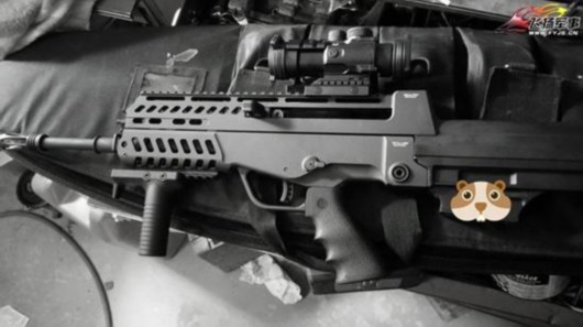 加拿大魔改中国枪顿时高大上:能动的地方都动